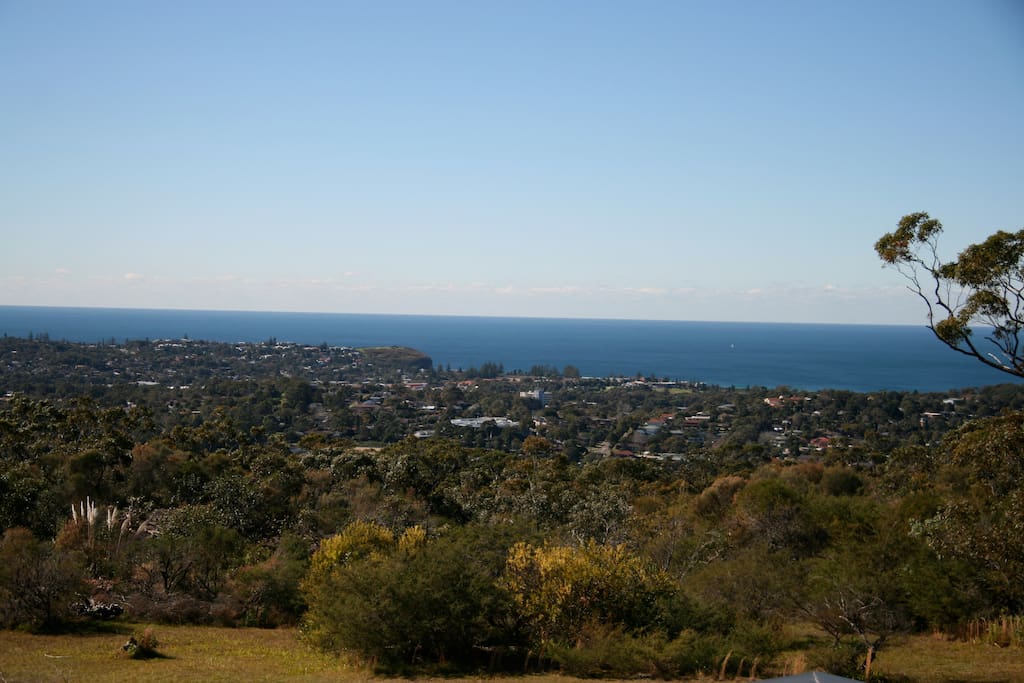 View