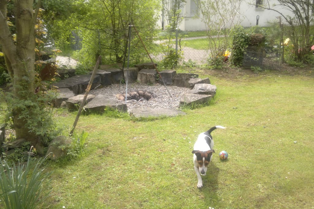 Feuerstelle mit Hund