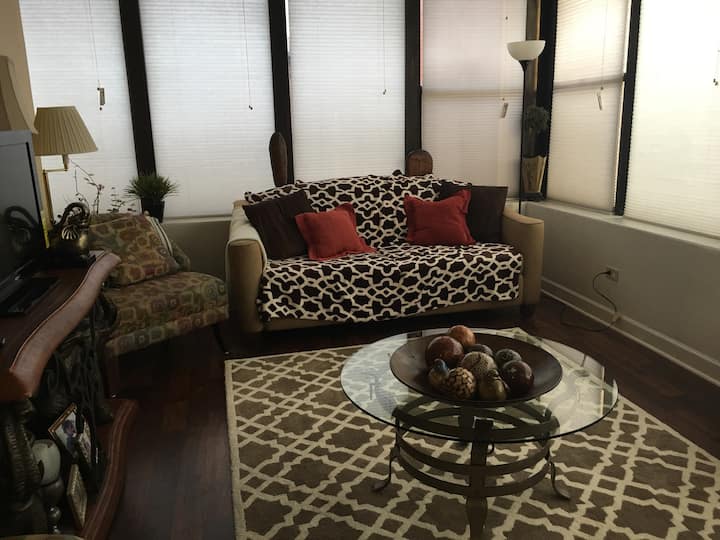 Near McCormick Place and Minutes from Downtown! Condominiums for Rent