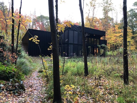 Modern Cabin in the Woods 2
