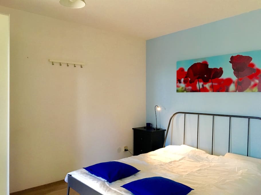 Spacious Master bedroom