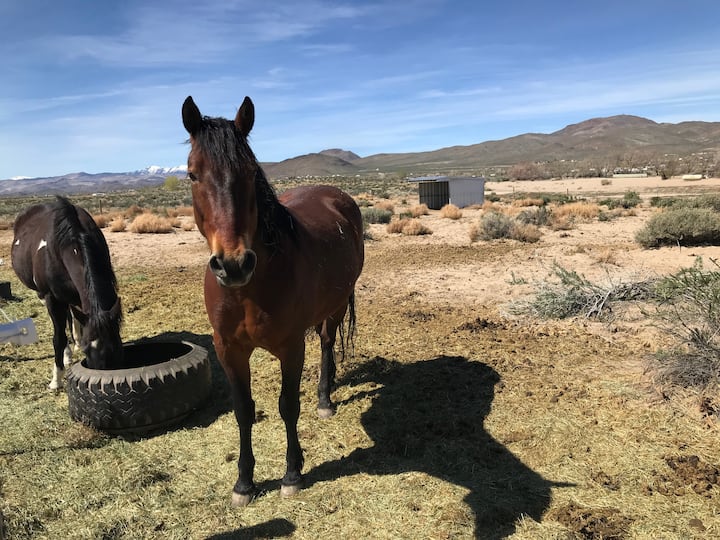 Yerington Vacation Rentals & Homes Nevada, United States Airbnb