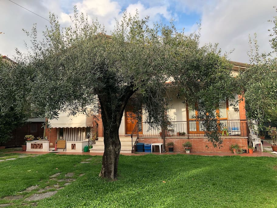 Giardino