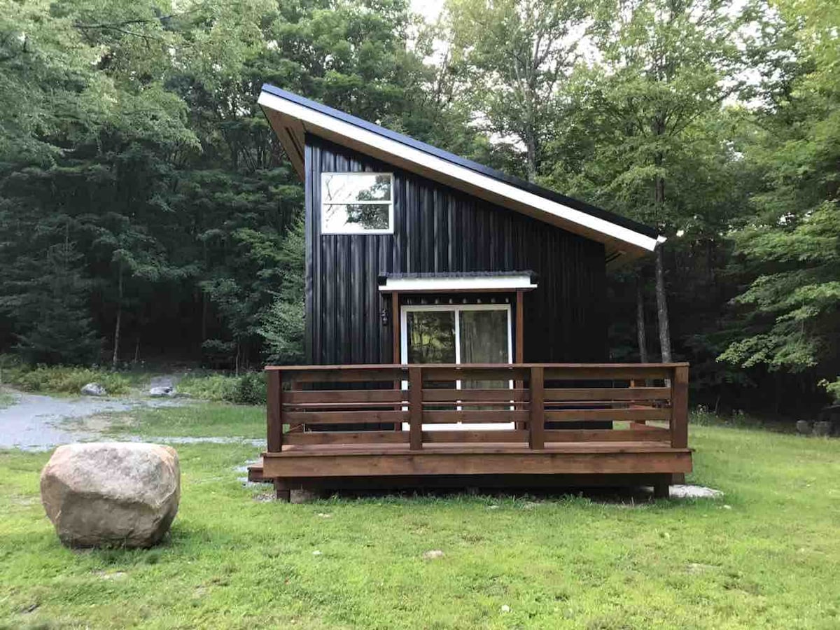 A modern cabin is set amidst lush greenery, featuring a sloped roof and large front deck made of wood. A large boulder sits on the well-maintained lawn, creating a natural contrast with the cabin's sleek design.