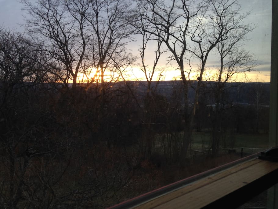 Window view at dawn.