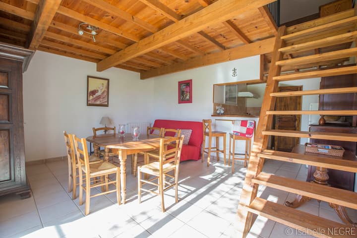 Le Mas De La Pousaraque - Camargue - Gîte Nove - Arlés