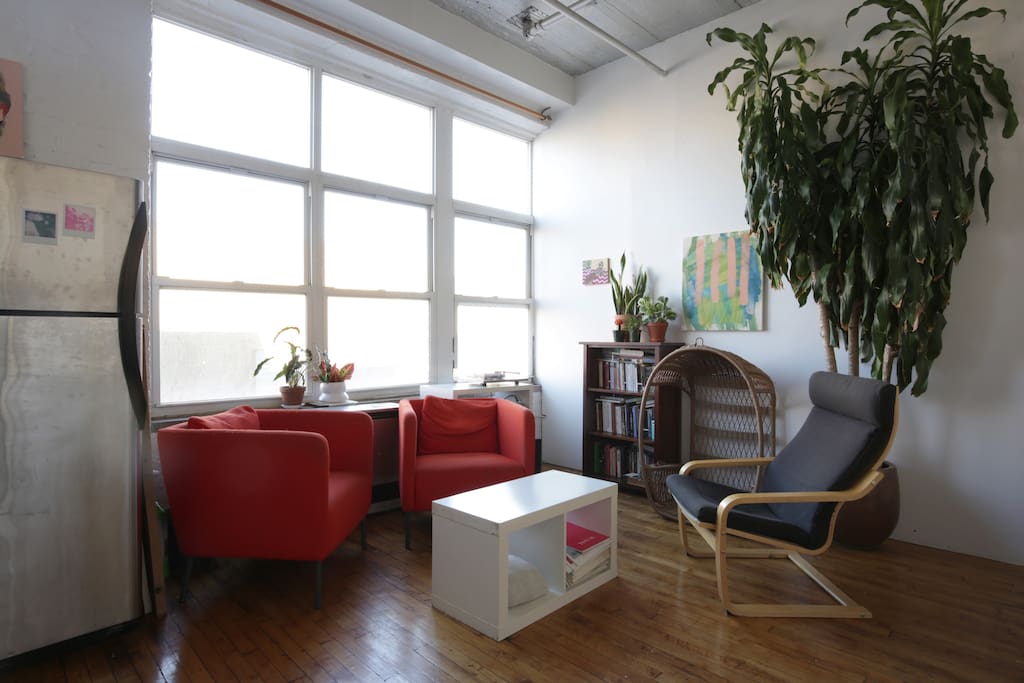 Plants and sun in our common space.
