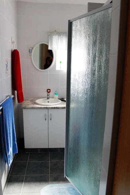 Bathroom with basin, toilet and shower