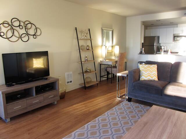 Harbor Steps, Downtown, Water Views! Huge 1400 sf! gallery image 4