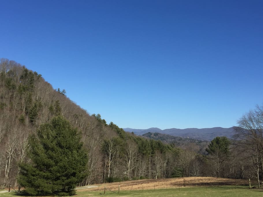 Mountain views from our cozy guest cabin