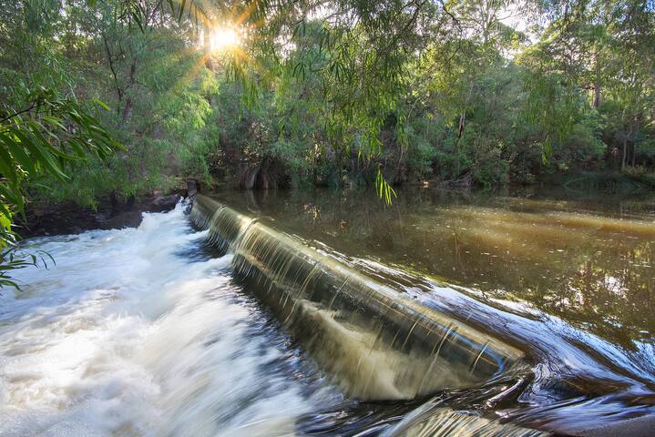 Gum Nuts – New House, family friendly & big groups gallery image 3