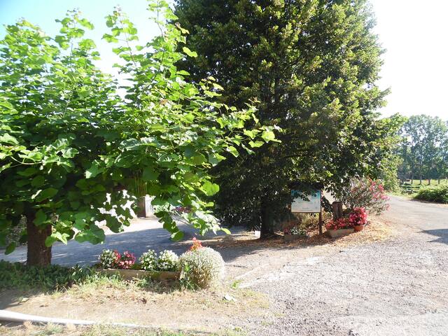 listing_image
