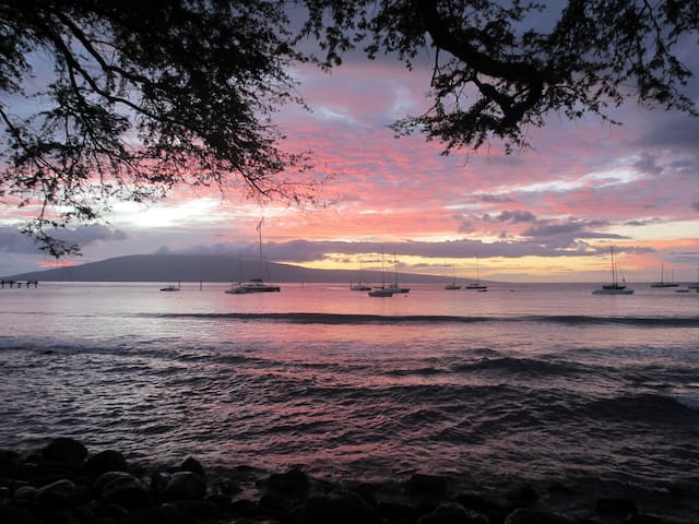 Westin Ka’anapali Oceanfront Resort/2BR 2025-2026 gallery image 4