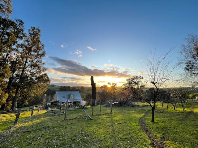 The Green Welly Farm stay