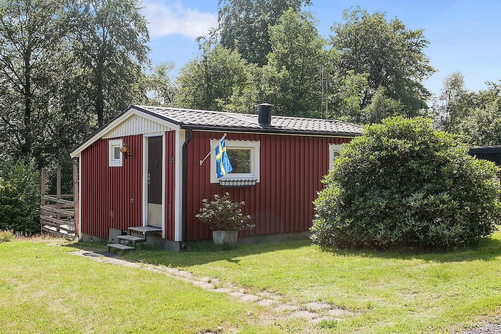 Röd stuga i skogen / Red cottage in the woods