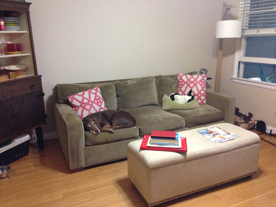 Open space, kitchen to left