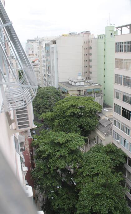 View since window in front of apt.