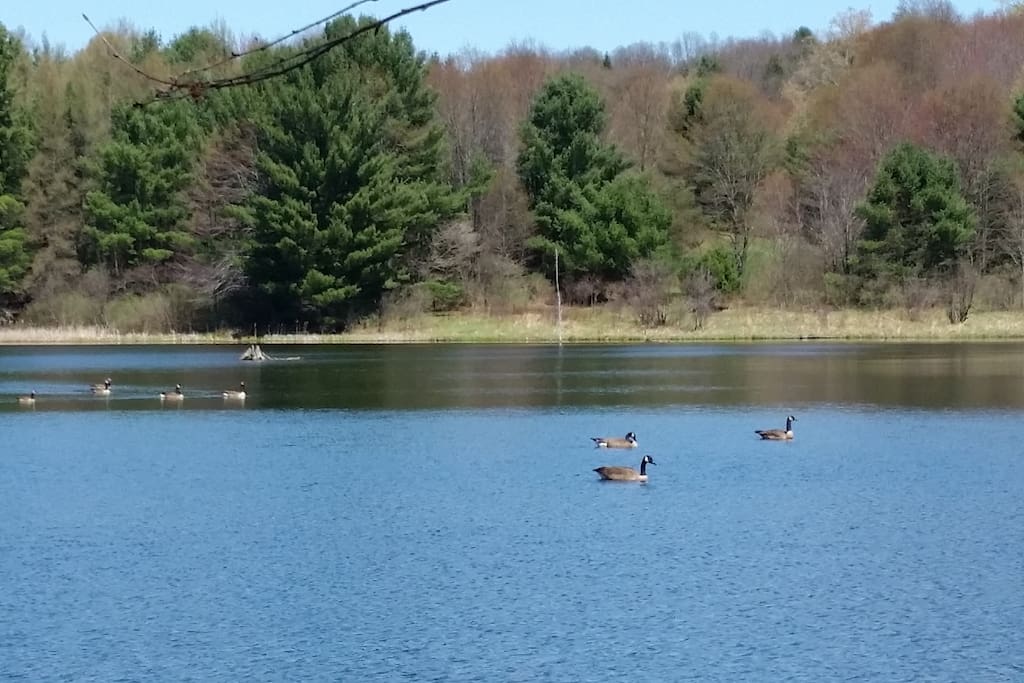 Brief walk out back to enjoy the hiking trails and wildlife.