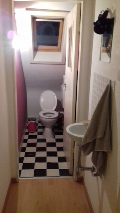 The toilet (which is separate to the shower)
