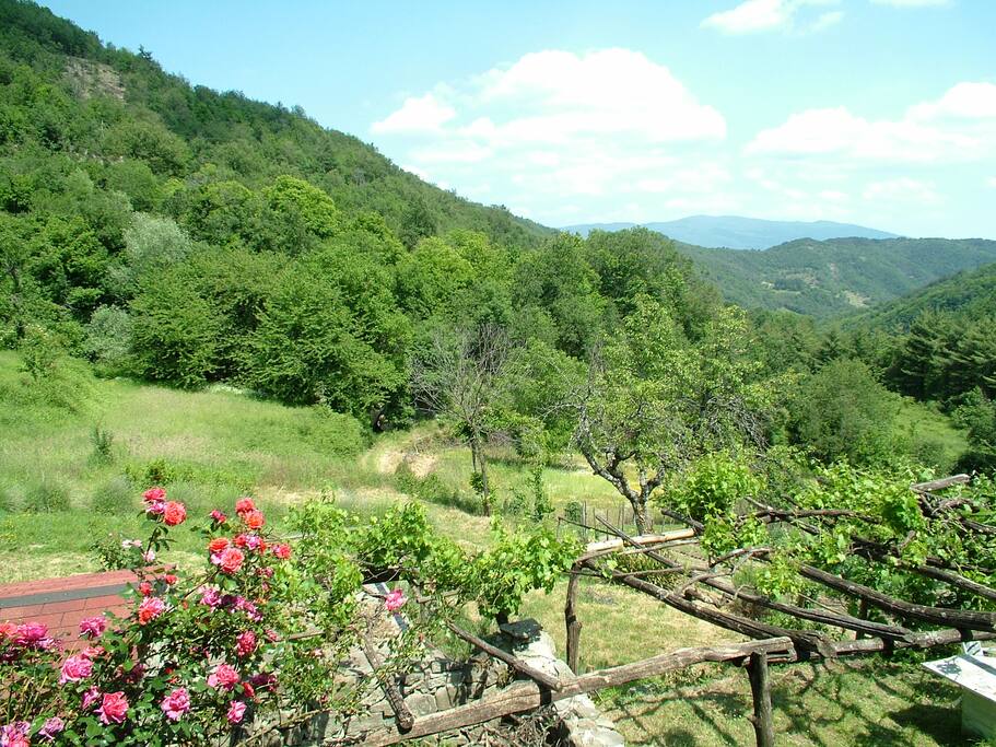 Annesso davanti alla casa, con giardino e panorama sullo sfondo.