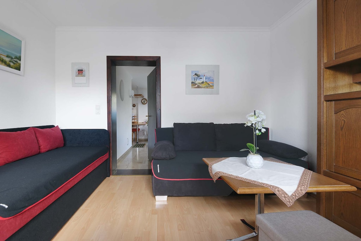 Living room with sofa bed on the left and double bed sofa bed