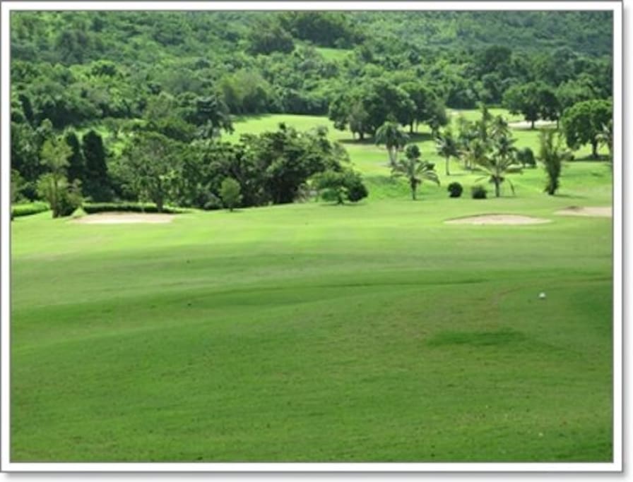 Carambola course - 1st hole