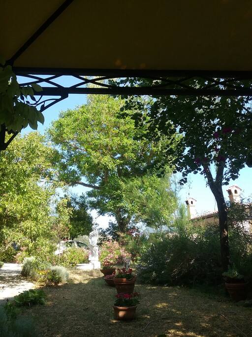 Giardino