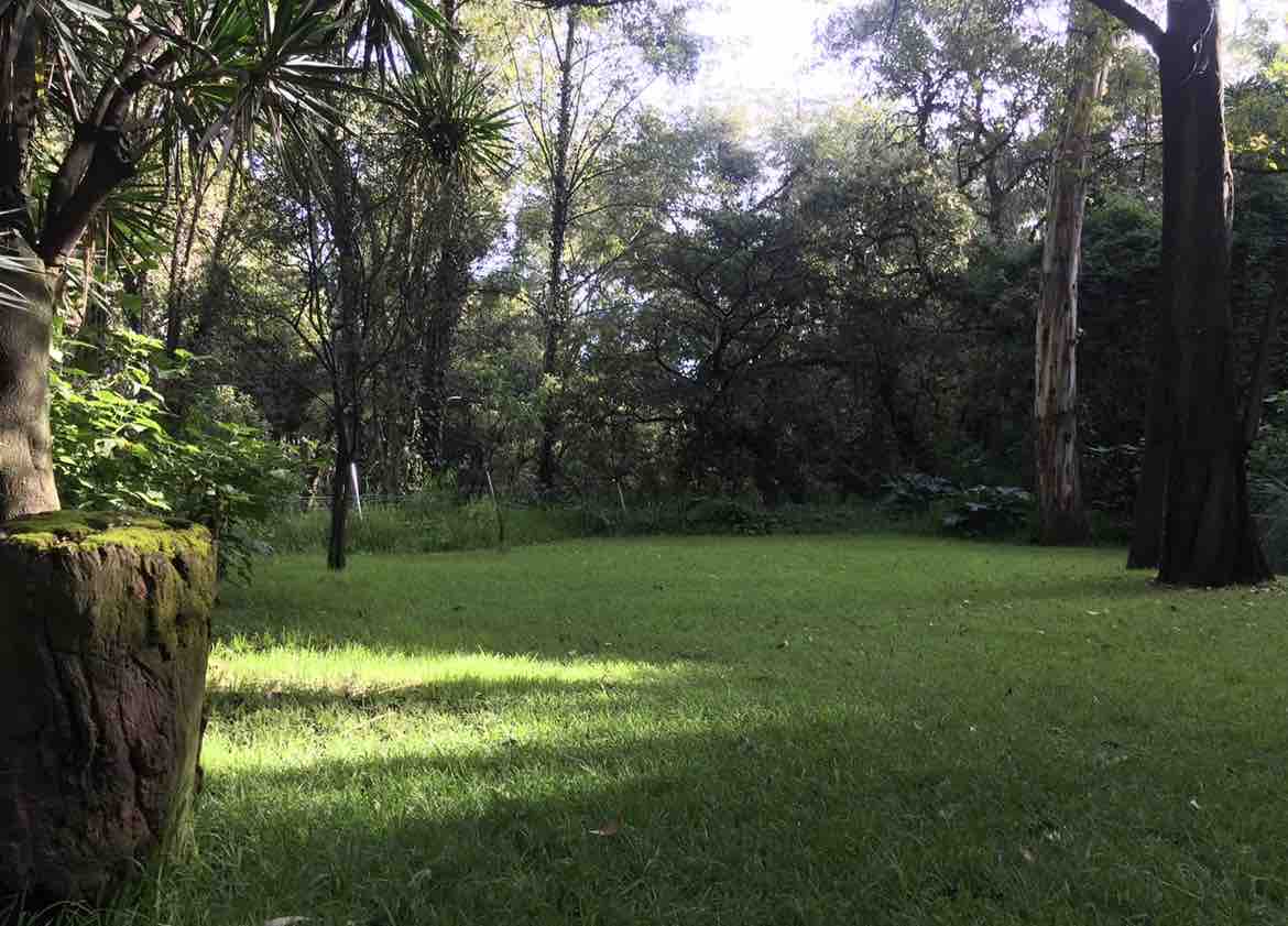 listing_image
