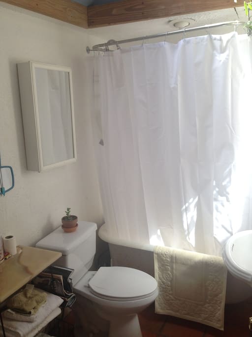 Claw foot tub and shower, skylight and Mexican tile.
