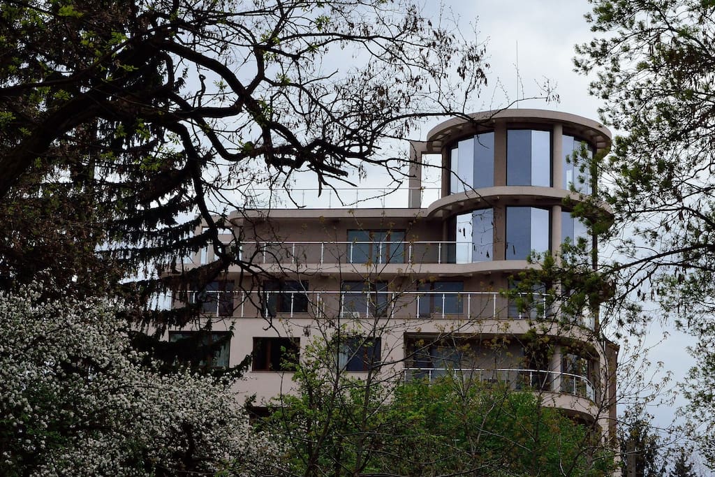 The building