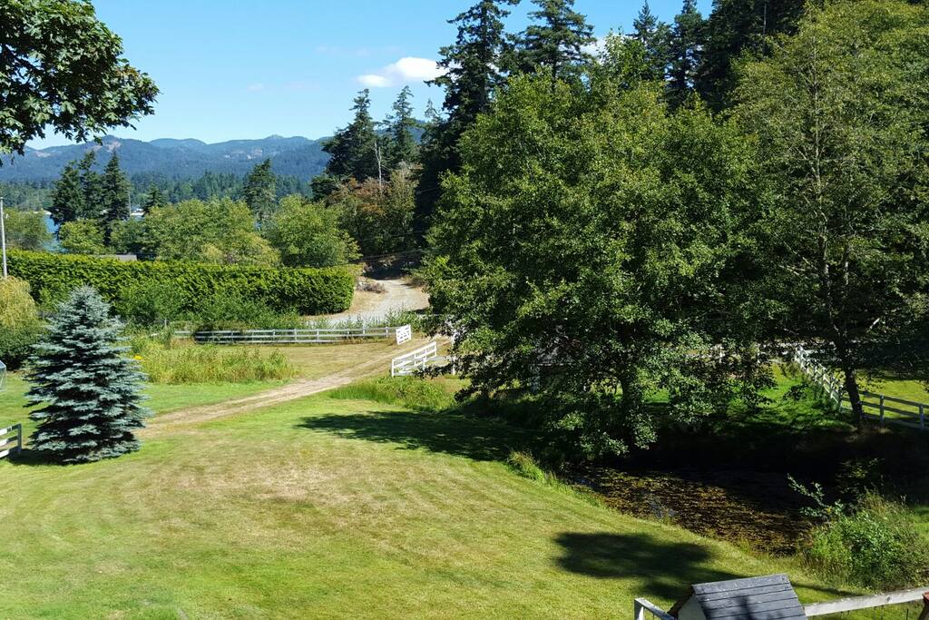 View From Your Private Balcony