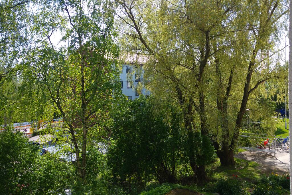 View from the bedroom window
