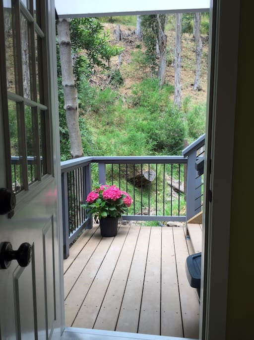 Front Deck