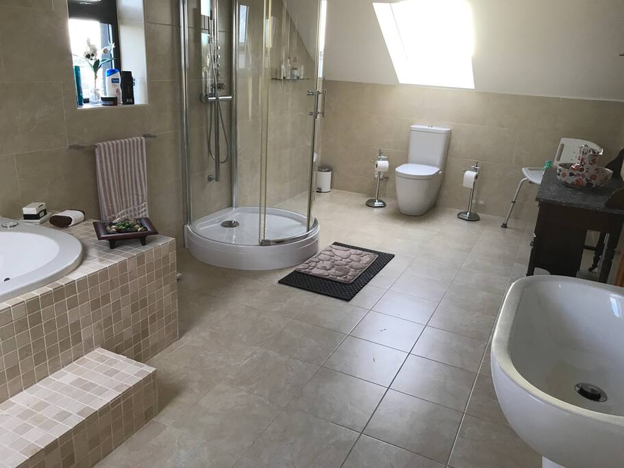 Bedroom two bath/shower/toilet area