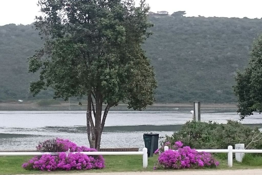 View in the Swartvlei river