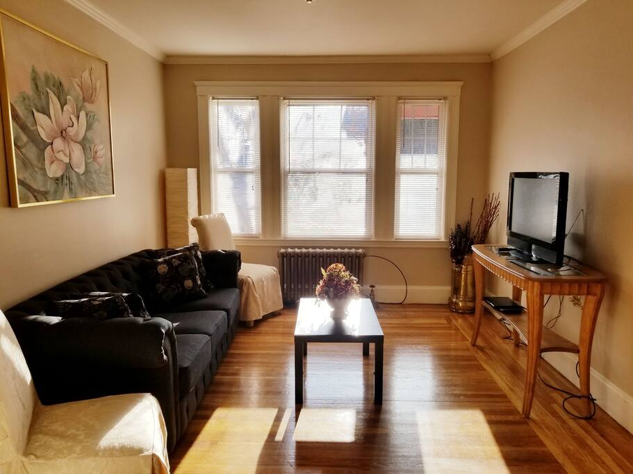 Sun soaked living room