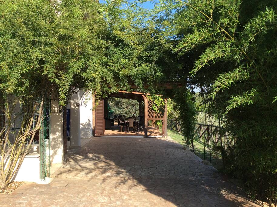 Ground Floor Veranda