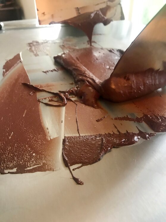 Show full-screen, host-provided image