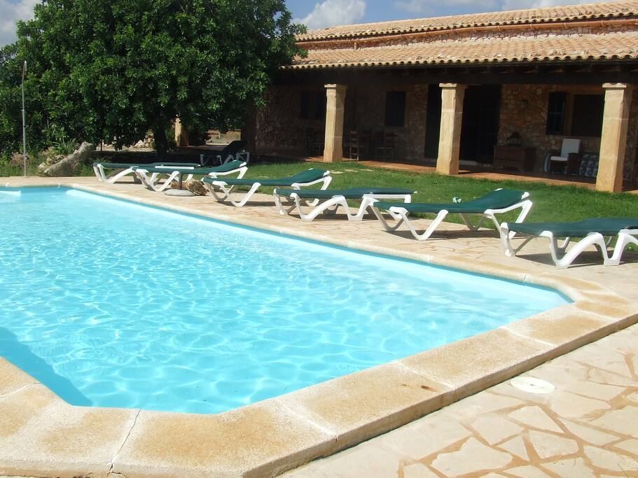 Back of the house (swimming pool)
