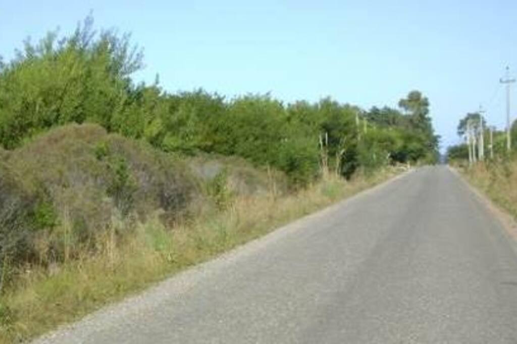 Calle principal