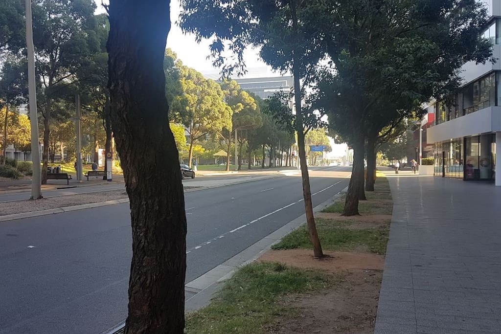Australia Avenue