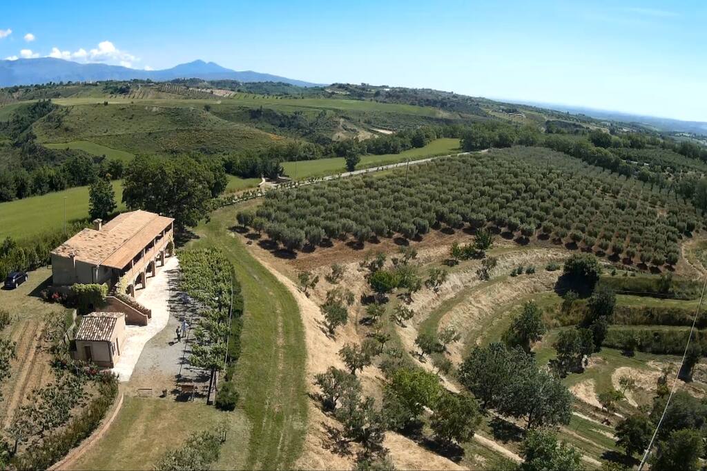 Farm panoramic view