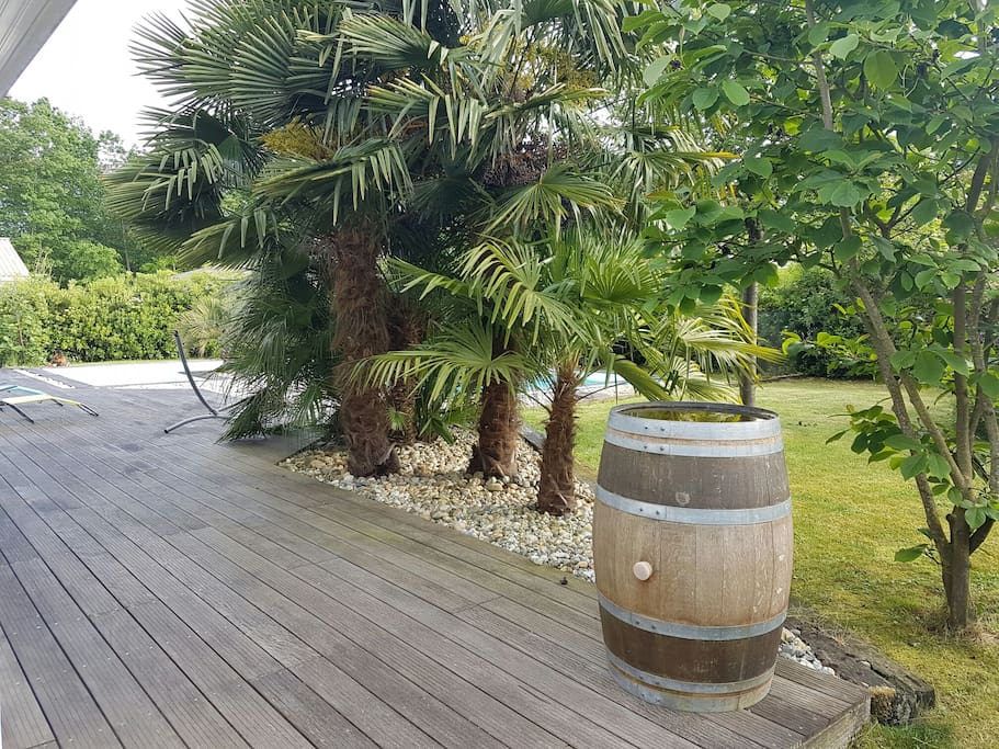 terrasse chambre rdc