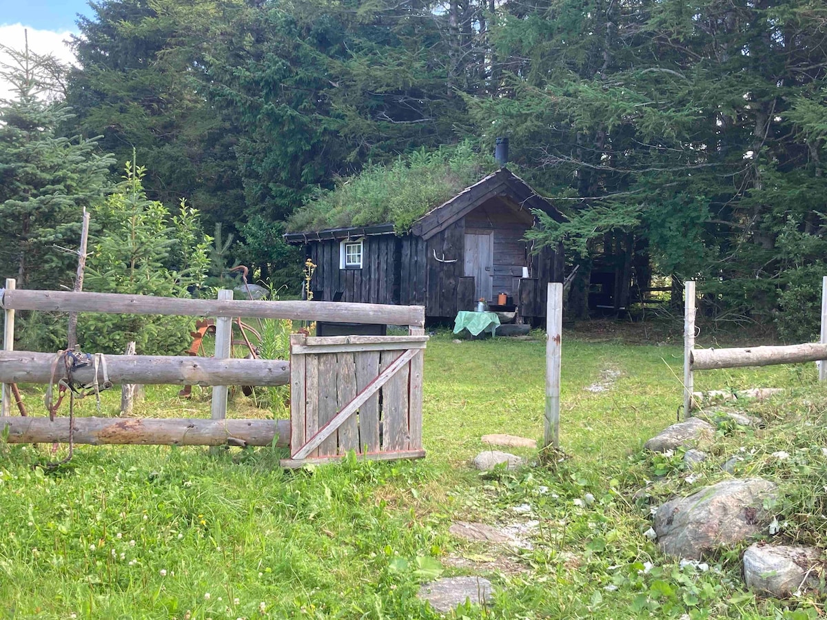 A rustic cabin is set among lush greenery, surrounded by trees. A wooden gate leads into the open area, with a table visible on the porch. The natural landscape offers a serene and private environment.