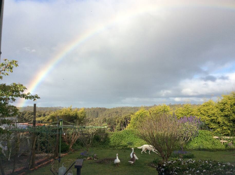Rainbow often seen