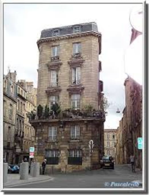Ceci est l'immeuble où vous serez accueillies.