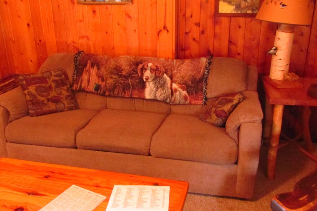 Living Room Couch