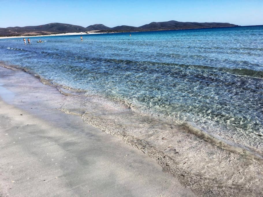 Porto pino