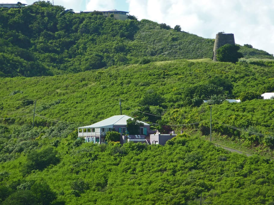 Another view of the house