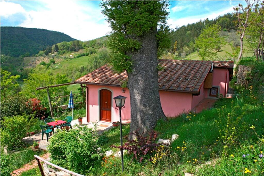 casa Rosa